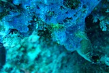 DSC02214.jpg